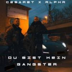Cesaret&nbsp;Du Bist Kein Gangster