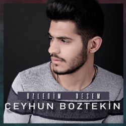Ceyhun Boztekin&nbsp;Özledim Desem