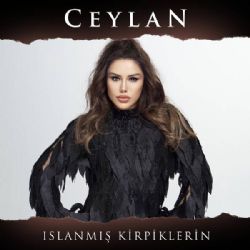 Ceylan&nbsp;Islanmış Kirpiklerin