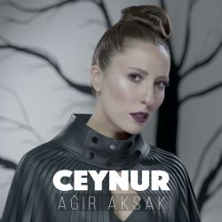 Ceynur&nbsp;Ağır Aksak