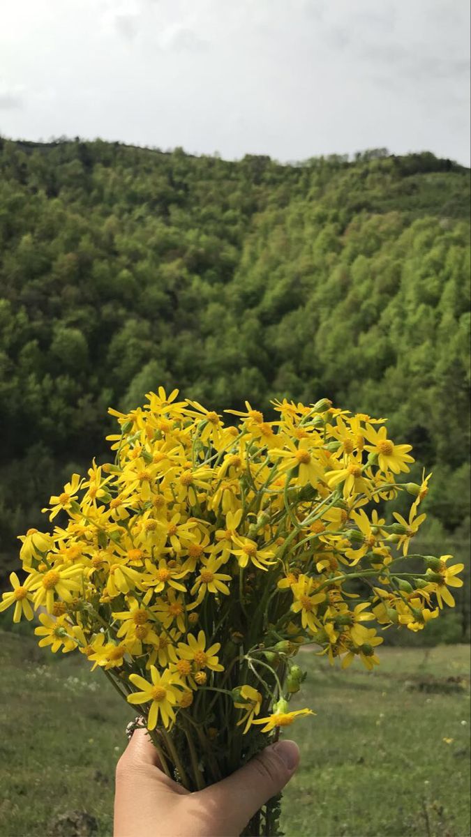 Chiavo&nbsp;Ellerimde Çiçekler