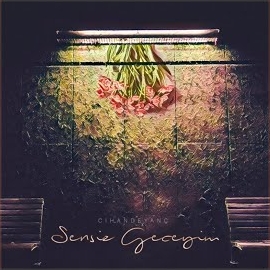 Cihan Deyanç&nbsp;Sensiz Geceyim