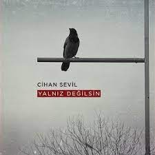 Cihan Sevil&nbsp;Yalnız Değilsin