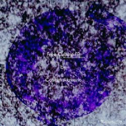 Coşkun Akmeriç&nbsp;Free Culture