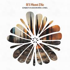 Coşkun Karademir&nbsp;If I Must Die