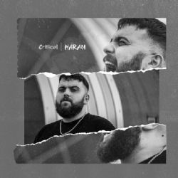 Critical&nbsp;Haram