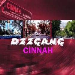 DZZGANG&nbsp;Cinnah