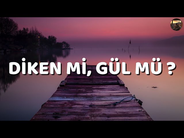 Dancehellqwe&nbsp;Diken Mi Gül Mü