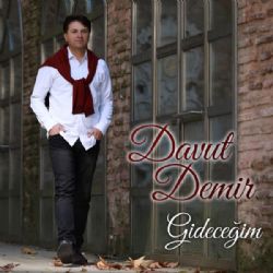 Davut Demir&nbsp;Gideceğim