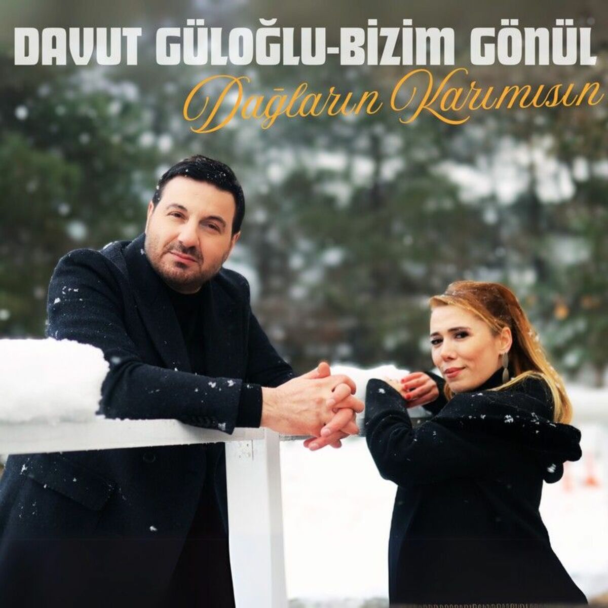 Davut Güloğlu&nbsp;Dağların Karımısın