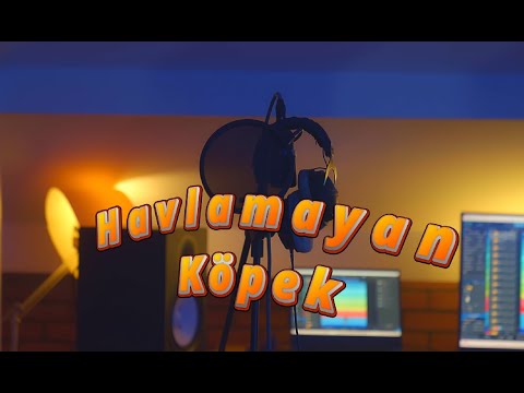 Decrat&nbsp;Havlamayan Köpek