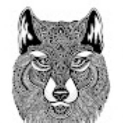 Dedublüman&nbsp;Karar Verdim