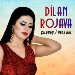 Dilan Rojava&nbsp;Çilekeş