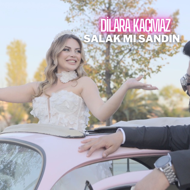 Dilara Kaçmaz&nbsp;Salak Mı Sandın