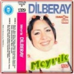 Dilber Ay&nbsp;Meyrik