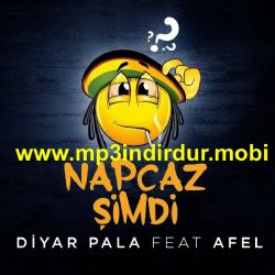 Diyar Pala&nbsp;Napcaz Şimdi