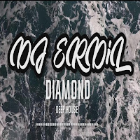 Dj Erdil&nbsp;Diamond