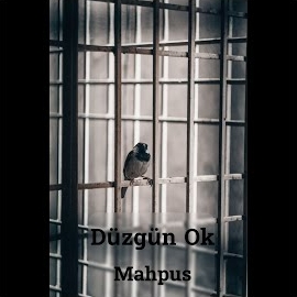 Düzgün Ok&nbsp;Mahpus