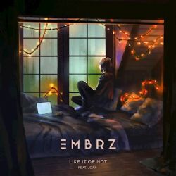 EMBRZ&nbsp;Like It Or Not