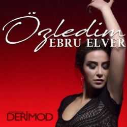 Ebru Elver&nbsp;Özledim