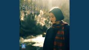 Ebru Keleş&nbsp;Gidek Sılaya