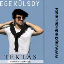 Ege Külsoy&nbsp;Tektaş