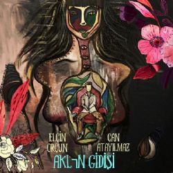 Elçin Orçun&nbsp;Aklın Gidişi