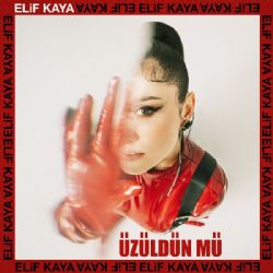 Elif Kaya&nbsp;Üzüldün Mü
