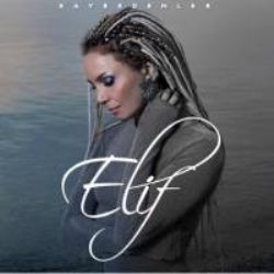 Elif&nbsp;Sokak Kedisi