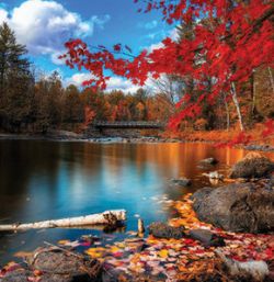 Elifa&nbsp;Karabasan