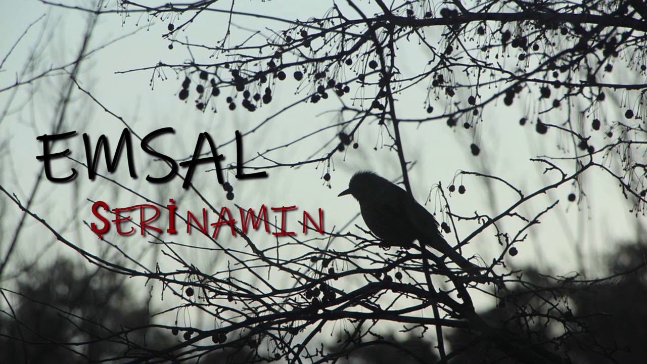 Emsal&nbsp;Şerinamın