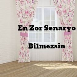En Zor Senaryo&nbsp;Bilmezsin