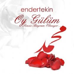Ender Tekin&nbsp;Oy Gülüm