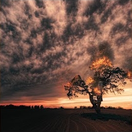 Erden Erdoğan&nbsp;Yanmışım