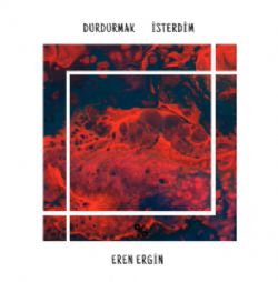 Eren Ergin&nbsp;Durdurmak İsterdim