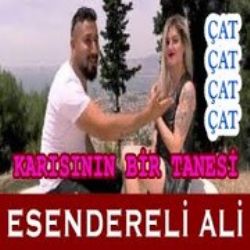 Esendereli Ali&nbsp;Çat Çat