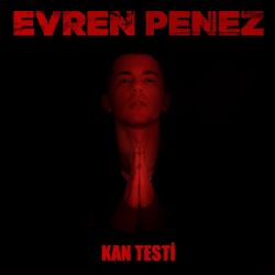 Evren Penez&nbsp;Kan Testi