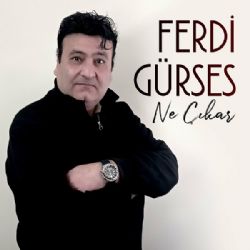 Ferdi Gürses&nbsp;Ne Çıkar