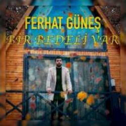 Ferhat Güneş&nbsp;Bir Bedeli Var