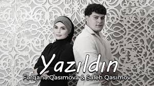Ferqane Qasımova&nbsp;Yazıldın