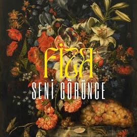 Fiza&nbsp;Seni Görünce