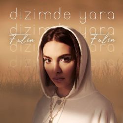 Fulin&nbsp;Dizimde Yara