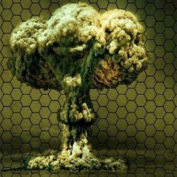 Furkan Uçar&nbsp;Day 1