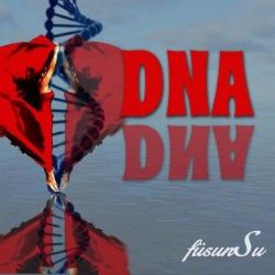 Füsun Su&nbsp;DNA