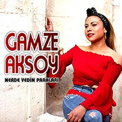 Gamze Aksoy&nbsp;Nerde Yedin Paraları