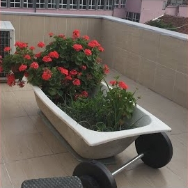 Gassalfm&nbsp;Solgun