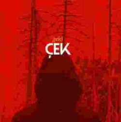 Geki&nbsp;Çek