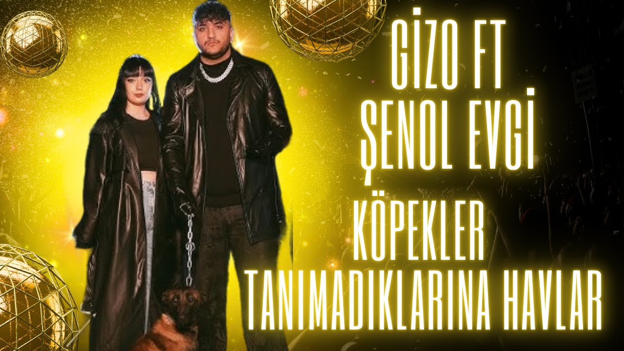 Gizo&nbsp;Köpekler Tanımadıklarına havlar