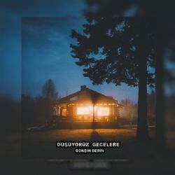 Gökşin Derin&nbsp;Düşüyoruz Gecelere