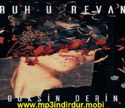 Gökşin Derin&nbsp;Ruhu Revan